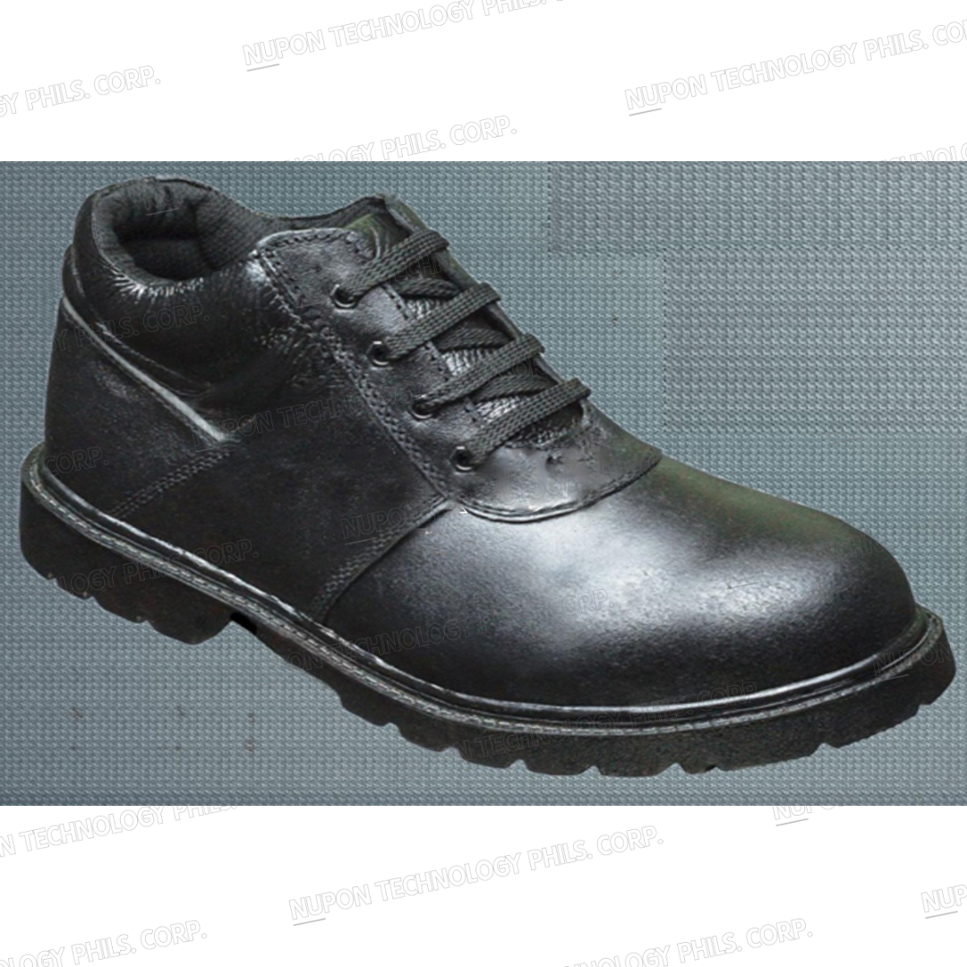 10619 Industrial Safety Shoes (Classic Type)